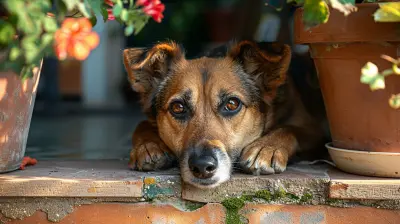 Pet-Friendly Retirement Homes: What to Look For