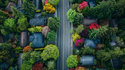 The Environmental Factors First Time Buyers Should Consider