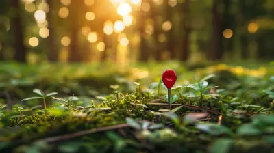 The Importance of Location in Real Estate Investment Decisions