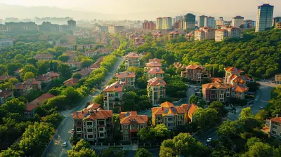 The Role of Foreign Investment in Local Housing Markets