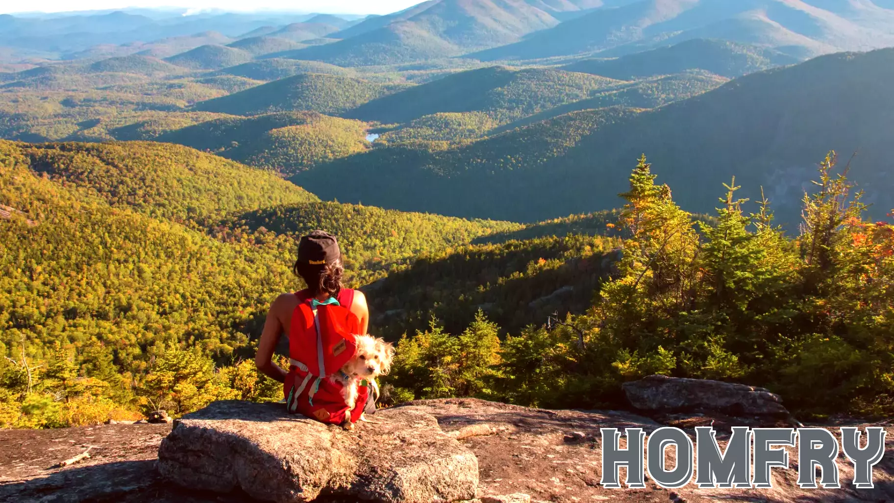 Companies with Dallas ties trade New York retreat for nearly $80M