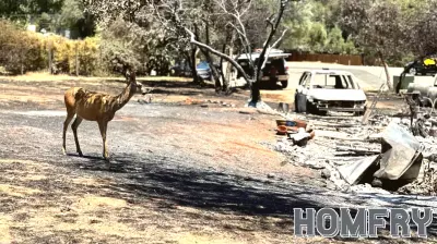 Addressing Wildfire Rebuilding Challenges in California