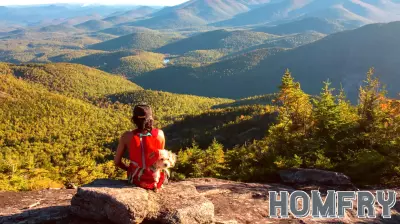 Companies with Dallas ties trade New York retreat for nearly $80M