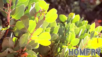 Embracing Sustainable Landscaping This Spring